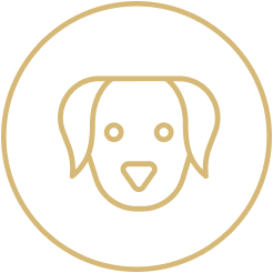 Pet Friendly